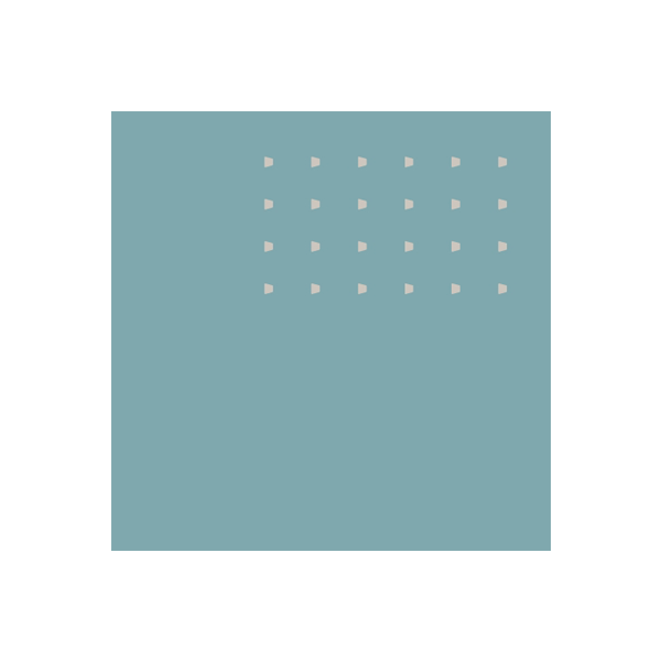 Ascot Cell Phone Accessories